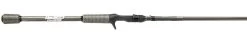 Cashion IWJ69HF ICON Worm & Jig Casting Rod