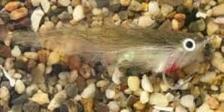 Enrico Puglisi Rattle Finger Mullet Saltwater Fly