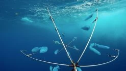 Fish Downsea Complete 1.5 Shad Dredge